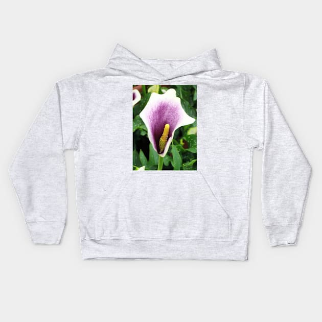 Purple Calla Lily Kids Hoodie by pinkal